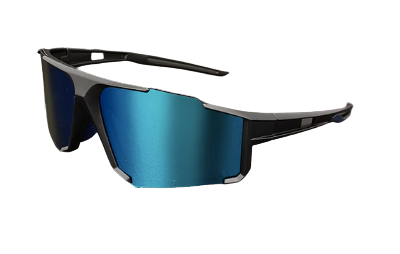 Wilde Skibrille