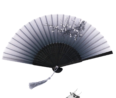 Asian Rave Fan