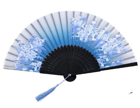 Asian Rave Fan