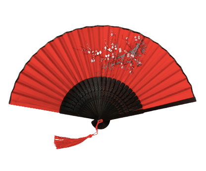 Asian Rave Fan